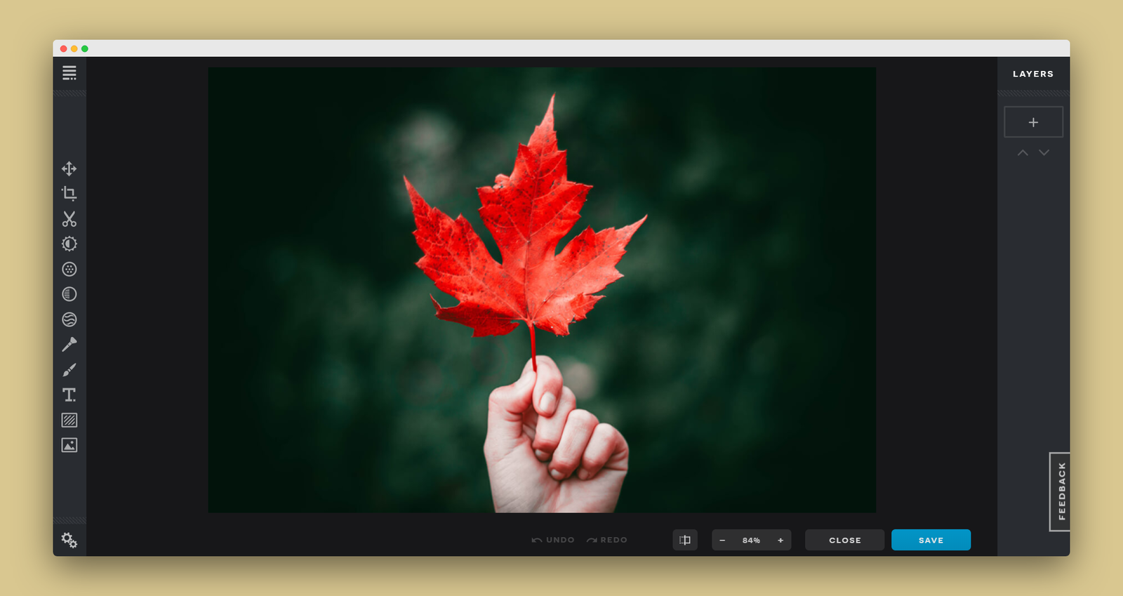 Integrate Pixlr Online Photo Editor in Web Application/Website